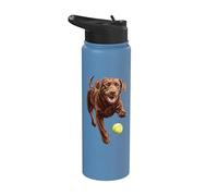 Palla da caccia Labrador marrone Stainless Steel Insulated Water Bottle