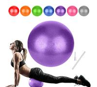 Palla da ginnastica 2 pezzi 25 cm, blu e viola, mini gym ball per yoga pilates fitness allenamento core equilibrio forza, facile da trasportare e utilizzare