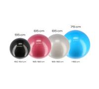 Palla da ginnastica Nuovo HMS YB01 Noir 55 cm