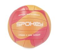 Palla da pallavolo indoor o spiaggia