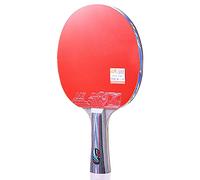 palla da ping pong, Confezione da 1 racchetta ping pong, set di allenamento professionale, impugnatura comoda / 6 stelle(Long handle)