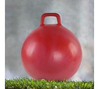 Palla da salto Palla per esercizi Divertenti giochi per interni ed esterni