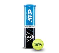 Palline Tornei ATP Dunlop Generico