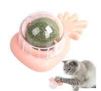 Palla Di Gatto A Parete - Giocattolo Da Masticare Portatile Per Chaat