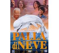 Palla Di Neve