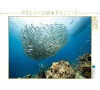 Palla di pesce • Playa Piskado • Curaçao 1000 pezzi Puzzle orizzontale