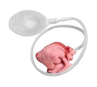 Palla di stress, giocattolo realistico a forma di cuore | Realistic Heart Squeeze Sensory Toy | Soft Lento Rebound sensoriale gioco divertente scherzo Desk Accessori per adulti studenti donne nascita