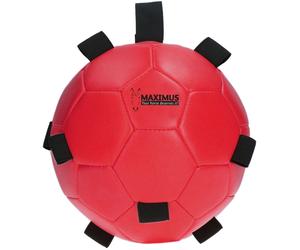 Palla 'Excellent Horse Play Ball' - Rosso