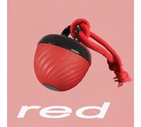 Palla giocattolo interattiva per cani, per il tempo libero, la dentizione,