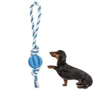 Palla per Cani con Funzione di Cura Dentale nubi per Cani Giocattolo in Gomma Naturale, Interactive Rolling Dog Ball, Interactive Dog Smart Ball Toy, for Dogs & Cats