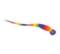 Palla Sensoriale Coda Arcobaleno | Palloni Sportivi Multicolori | Palline da Lancio per Bambini con Funzione Didattica e Motoria