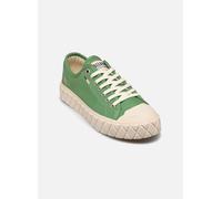 Palladium - Palla Ace Cvs Org W Verde - Sneakers - Taglia 39 39 Verde