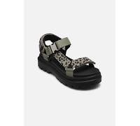 Palladium Pallacruise Strap Wild Sandals Verde EU 41 Donna