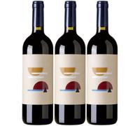 Pallagrello Nero, Il Tempo, Torre Dell'Angelo, vino rosso, 2020, 13% Vol (3 BT)