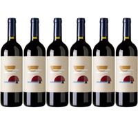 Pallagrello Nero, Il Tempo, Torre Dell'Angelo, vino rosso, 2020, 13% Vol (6 BT)
