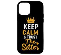 Pallavolo Keep Calm And Trust The Setter Giocatore Pallavolo Custodia per iPhone 12 mini