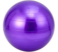 Palle for Esercizi Palla da Ginnastica for Esercizi 65cm Pilates Palla da Yoga Addensata Antiscivolo Esplosione Palla Svizzera Palla da Parto for Sedia da Ufficio a Casa Che Modella Perdere Peso Fisio
