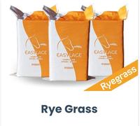Pallet 30 pz Fieno 20KG Ryegrass Easylage Loietto