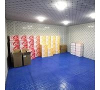 Pallet di plastica Pallet di stoccaggio Piastrelle for pavimento ad incastro in plastica Pallet da pavimento leggeri for garage Supermercato Magazzino Vassoio resistente all'umidità(60x30x3cm)