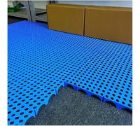 Pallet di stoccaggio for pallet in plastica, pallet da pavimento leggero con griglia traspirante, pallet con tappetino in plastica Vassoio resistente all'umidità(60x40x5cm)