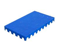 Pallet in Plastica, Scaffale per Pallet Leggero, 100x60x5 cm - per Magazzino, Supermercato, Esterno, Canile, Giardino - Tappetino di Stoccaggio ad Incastro(Blue)