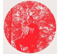 Pallett, Owen - Heartland