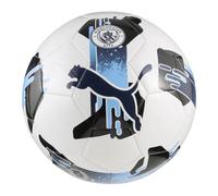 PALLINA MANCHESTER CITY PUMA 084779 12 MINI BALL