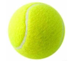 Palline da Tennis da 4 cm per Cani, Ideali per Esercizi fisici e Massaggi rilassanti