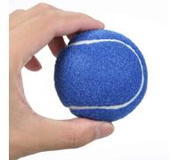 Palline da Tennis, Palline da Tennis per Allenamento Confezione da 12 Palline da Tennis per Allenamento Avanzato Palline da Allenamento Palline da Tennis per Cani per