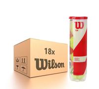 Palline da tennis Wilson Team Practice - 18 x 4B