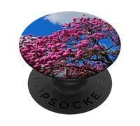 Palline di fiori rosa che sbocciano contro il cielo gioioso blu PopSockets PopGrip Adesivo
