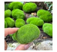 Palline di muschio 50/5 pezzi di muschio artificiale, pietre finte, decorazioni for la casa, artigianato creativo, piante simulazione verdi, fai da te for il giardino(4x5cm,Green 5PCS)