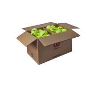 Palline Wilson Triniti Club - Conf. da 72 palline