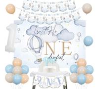 Palloncini ad aria calda decorazioni per il 1° compleanno, Isn't He Onederful sfondo nuvola mongolfiera foto ghirlanda blu un seggiolone banner cake topper palloncini kit per festa di compleanno Mr