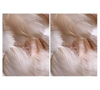 "Palloncini Zebra" Piume di Pesca, Confezione da 100 (Confezione da 2)