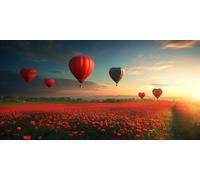 Pallone Caldo Dipingere con i Numeri Kit, Fiori Grande Paint by Numbers Adulti, Set di Pittura con i Numeri, Kit di Pittura Acrilica, Principianti Facile su Tela Fai da Te Pittura 60x120cm J0L-399