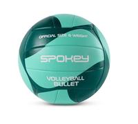 Pallone da pallavolo versatile tg 5