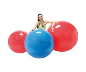 Pallone Gymnic Ball Diametro cm. 85