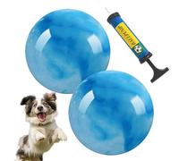 Pallone Rimbalzante per Bambini,Giocattolo per Feste da 23 cm con Pompa a Mano,Palla Saltellante per Bambini - per Attività Sportive all'Aperto, Esercizio Fisico, Scuola, Compleanni, Premi per la Clas