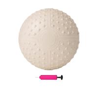 Palloni Allenamento Esercizi Con Pompa Aria Antiscivolo Antiscoppio Piccola | Attrezzatura Pilates Palla Yoga Gravidanza Per Donne Recupero Fisico Muscolare Pelvico Cas
