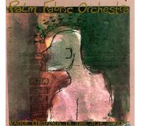 Palm Fabric Orchestra - Vague Gropings