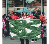 Palm Leaf Flag 3x5 FT Tropical Hawaii Jungle Palm Tree Banana Leaves Outdoor Flags Large Welcome Yard Banners Home Garden Yard Lawn Decor Green White