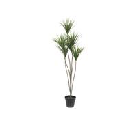 EUROPALMS Yucca Palma, Piante Artificiali, 130cm