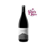 PALMENTO COSTANZO NERO DI SEI 2019 VINO ROSSO ETNA DOC SICILIA