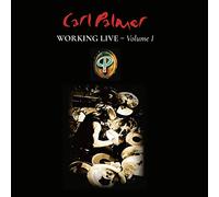 Palmer Carl Band - Working Live Volume 1