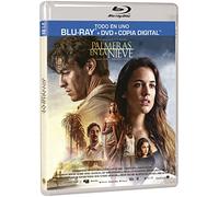 Palmeras En La Nieve