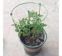 Palo di supporto da giardino in metallo per piante erbacee ad anello, peonie, piante erbacee, verde, altezza 27 cm con opzioni di diametro 14/18/20/22 cm (22 cm)