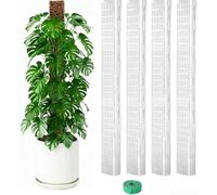 Palo di supporto per piante a forma di D, 61 cm, per radici aeree (4 pezzi) | Ideale per radici aeree, rafforza la struttura delle piante, supporta viti pesanti, si adatta a vasi standard