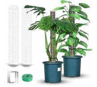Palo di supporto per piante muschio, in PET trasparente, da 39,9 cm, per piante rampicanti da interno, il design pentagonale chiuso migliora l'attaccamento delle radici, adatto per Monstera e Pothos