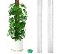 Palo in plastica a forma di D da 61 cm per sostenere le abitudini di crescita della vite in Monstera Siltepecana e Scindapsus Treubii (2 pezzi)